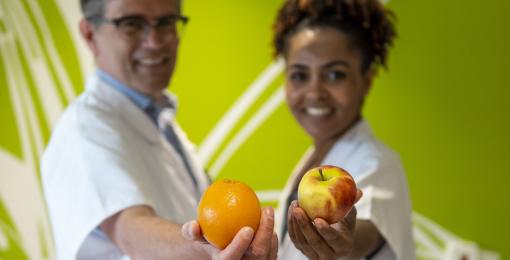 Twee artsen die fruit vasthouden